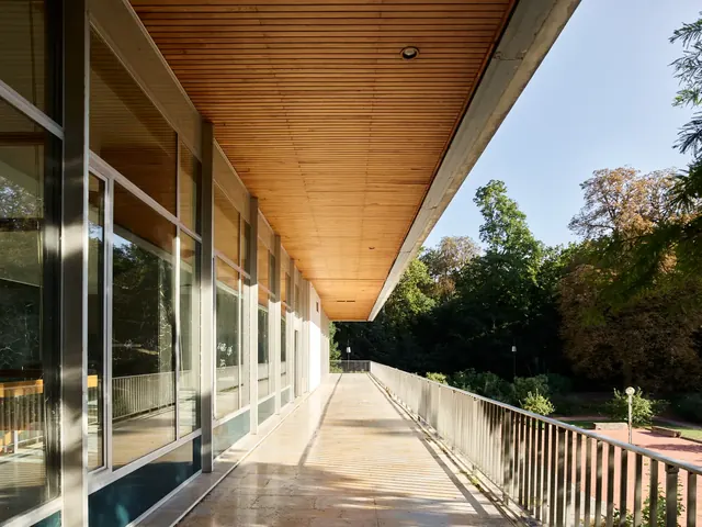 La longue terrasse en bois du Chalet du Parc, ouverte sur les arbres du parc de la Tête d’Or.
